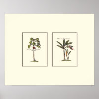 Twee miniaturen met palmbomen