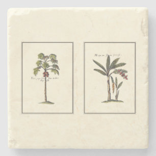 Twee miniaturen met palmbomen stenen onderzetter