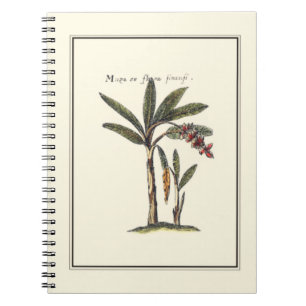 Twee Miniatuur Omlijste Palmboom Bomen Notitieboek