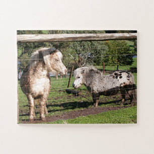 Twee miniatuurpony's in een paddock legpuzzel