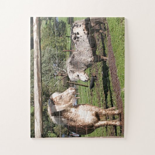 Twee miniatuurpony's in een paddock legpuzzel (Verticaal)