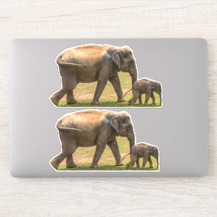 Twee Moeder en Baby Olifanten Vinyl Stickers