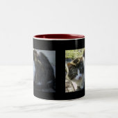 Twee Mokken met toned Kat (Center)