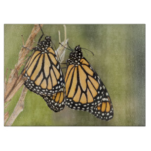 Twee Monarch Butterfly's Cutting Board Snijplank