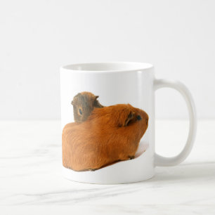 twee mooie cavia ' s koffiemok