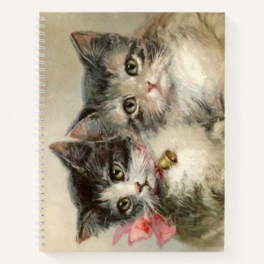 Twee mooie Victoriaans kittens. Notitieboek (Voorkant)