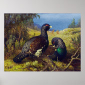 Twee mooie vogels poster (Voorkant)