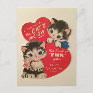 Twee Moppige Kittens Vintage Valentijnkaart Briefkaart