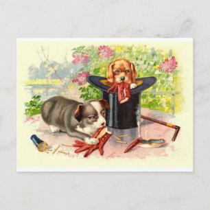 Twee Moppige Puppies Vintage Ansichtkaart Briefkaart