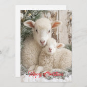 Twee Moppige Schapen Feestdagenkaart (Voorkant / Achterkant)