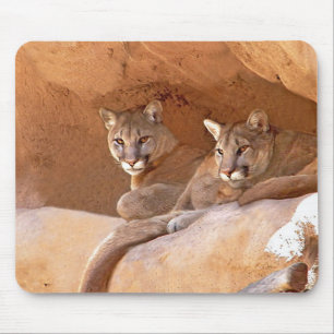 Twee mousepad muismat