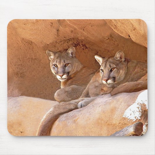 Twee mousepad muismat (Voorkant)