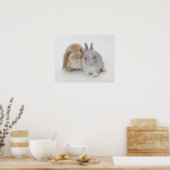 Twee Nederlandse Dwarf- en Holland Lop-bunnies Poster (Keuken)