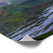 Twee nedoceratops/diceratops dinosaurussen die lop poster (Hoek)