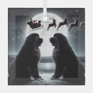 Twee nieuwtjes en de kerstman op komst glas ornament