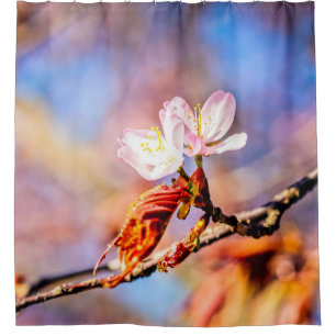 Twee ongelofelijke Sakura-bloemen. Roze, blauwe ac Douchegordijn