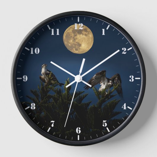 Twee Ospreys bij volle maan (Voorkant)