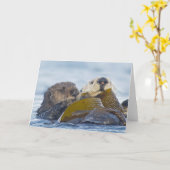 Twee Otters van het Zee van Californië Kaart (Gele Bloem)