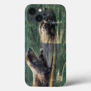 Twee Otters Wildlife Art Animal-lover's iPhone 13 Hoesje