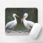 Twee oude vrienden Pelicans Muismat (Met muis)