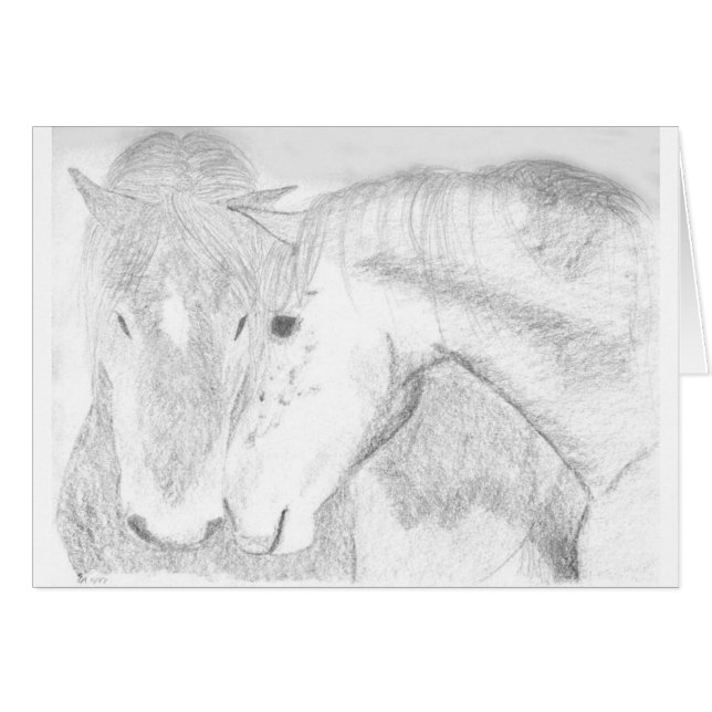Twee paarden (Voorkant Horizontaal)