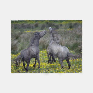 Twee paarden bokken en spelen fleece deken
