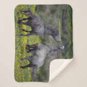 Twee paarden Buck en Play Sherpa Deken (Voorkant)