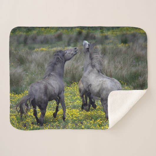 Twee paarden Buck en Play Sherpa Deken (Voorkant (horizontaal))