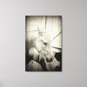 twee paarden buiten een stabiel zwart-wit canvas afdruk