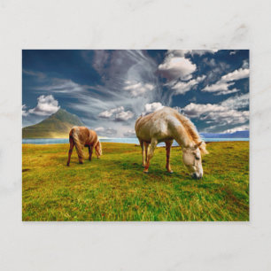 Twee paarden die grazen in het grasland briefkaart