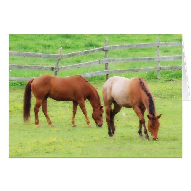 Twee paarden grazen (Voorkant Horizontaal)
