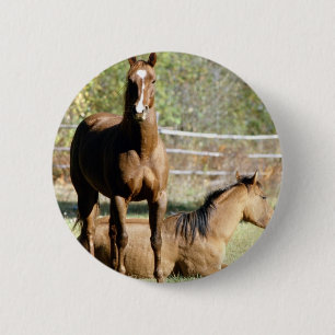 Twee paarden in pasta ronde button 5,7 cm