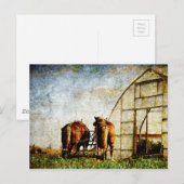 Twee paarden klaar voor het werk briefkaart (Voorkant / Achterkant)