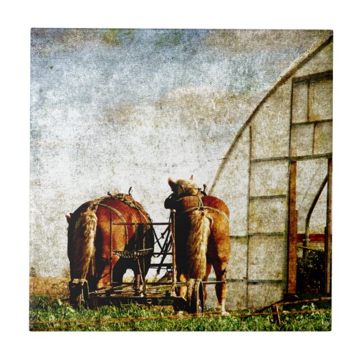 Twee paarden klaar voor het werk tegeltje (Voorkant)