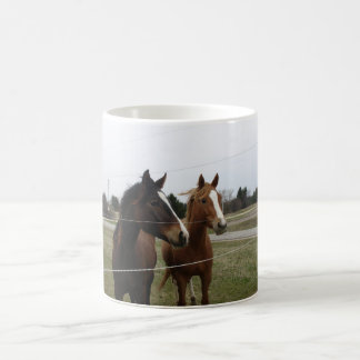 Twee Paarden Mok