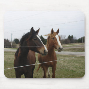 Twee paarden muismat
