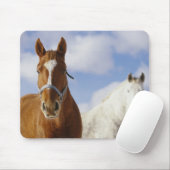 Twee paarden muismat (Met muis)