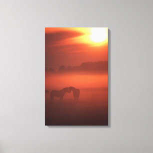 Twee paarden op zonsondergang canvas afdruk