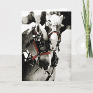 Twee Paarden Vakantie Kerst Wenskaart Feestdagen Kaart