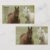 Twee paarden visitekaartje (Voorkant / Achterkant)