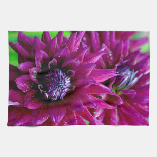 Twee paarse dahliasbloemen in bloei theedoek