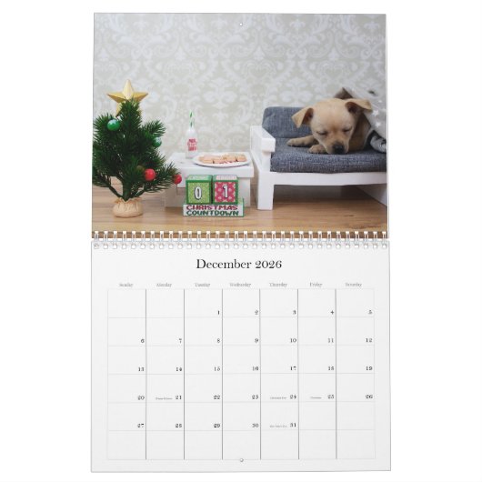Twee pagina MediumCalendar, Wit Kalender (Dec 2026)