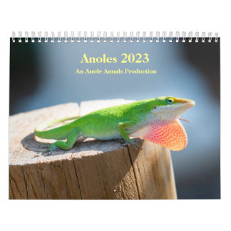 Twee pagina MediumCalendar, Wit Kalender