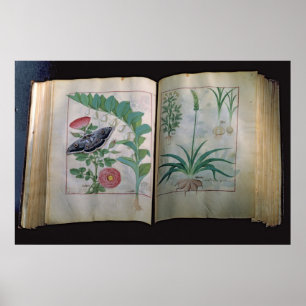 Twee pagina's die Roos en Knoflook weergeven Poster