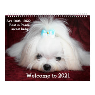 Twee pagina's: LargeCalendar, White Calendar Kalender