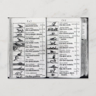 Twee pagina's van 'Orbis Sensualium Pictus' Briefkaart