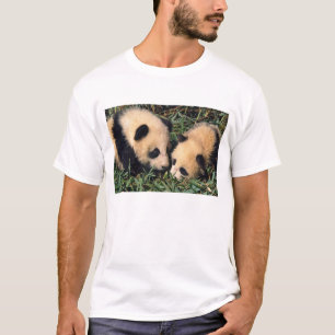 Twee panda welpen in de bamboestruik, Wolong, T-shirt