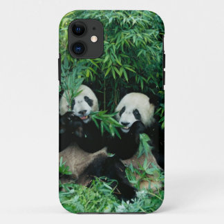 Twee panda's eten samen bamboe, Wolong iPhone 11 Hoesje