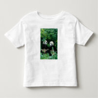 Twee panda's eten samen bamboe, Wolong