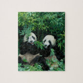 Twee panda's eten samen bamboe, Wolong Legpuzzel (Verticaal)